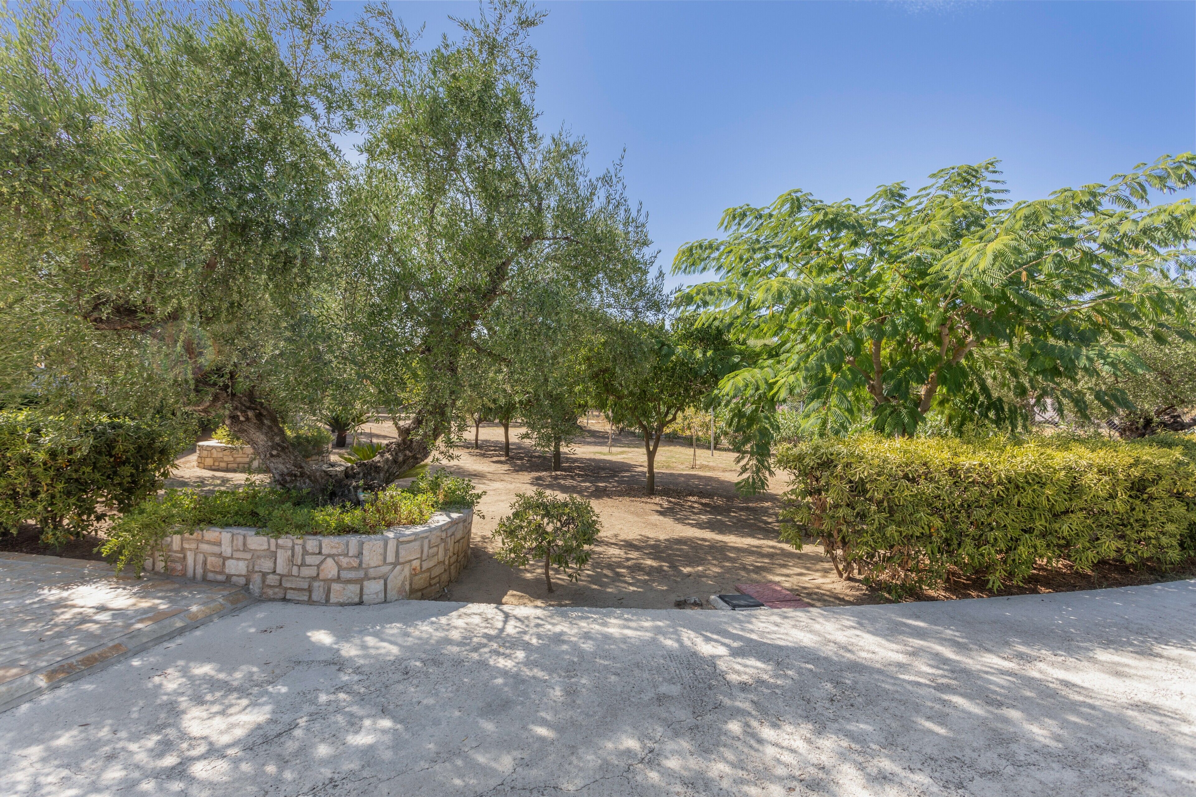 A paved pathway leading through a landscaped area with trees and shrubs.