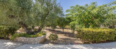 A paved pathway leading through a landscaped area with trees and shrubs.