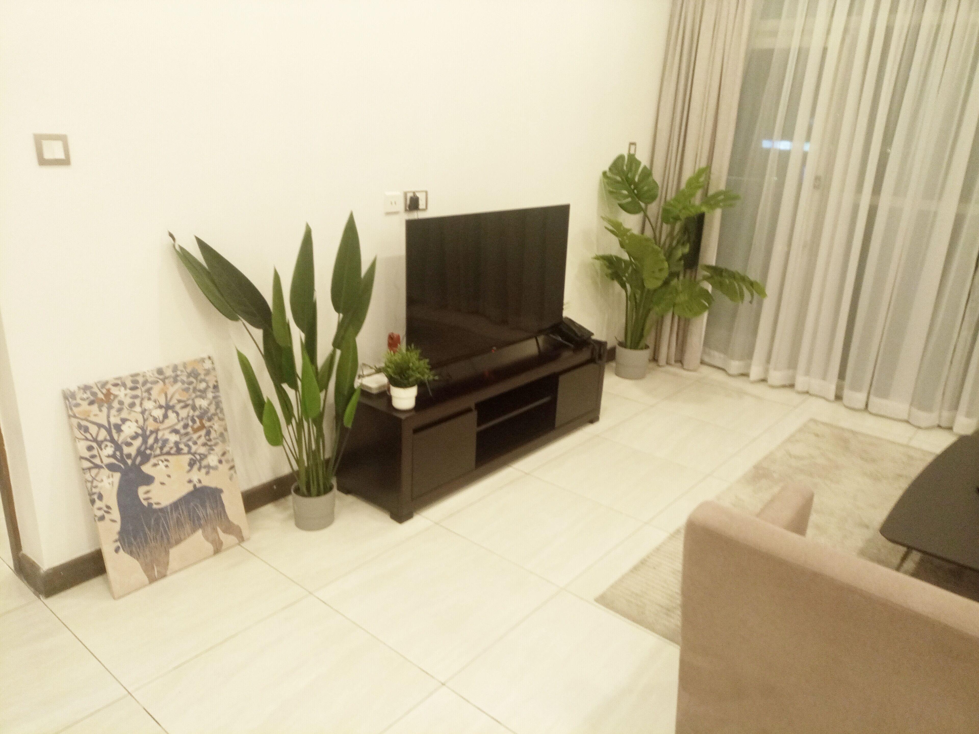 A living room with a flat-screen TV on a black stand, a sofa, a coffee table, and two potted plants.