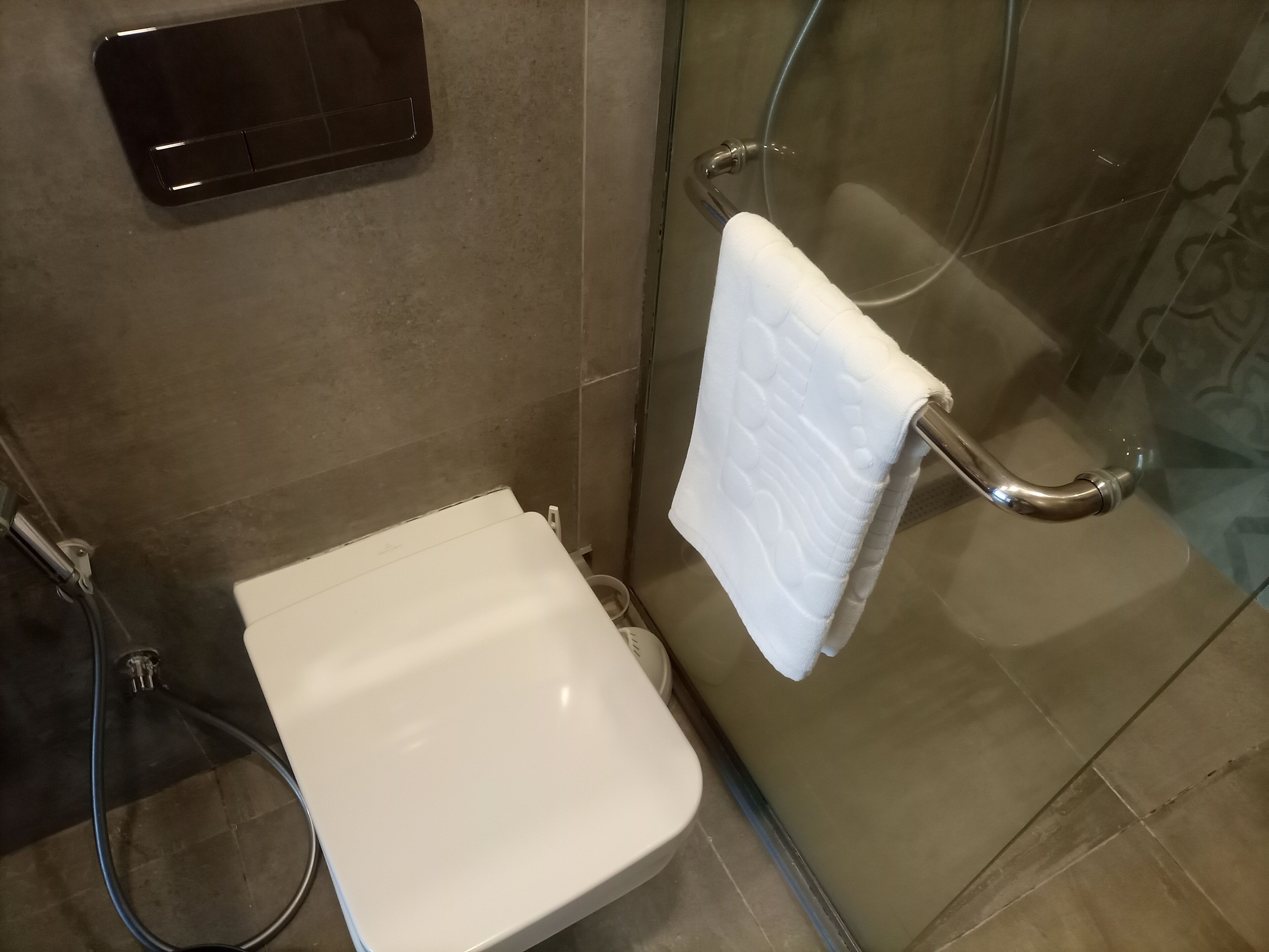 A bathroom with a white toilet, a glass shower enclosure, and a towel rack.