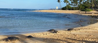 Newly Upgraded 3 Bedroom Suite with AC, Pool, & Gym in Sunny Poipu!