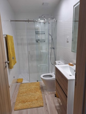 Hair dryer, bidet, towels, toilet paper