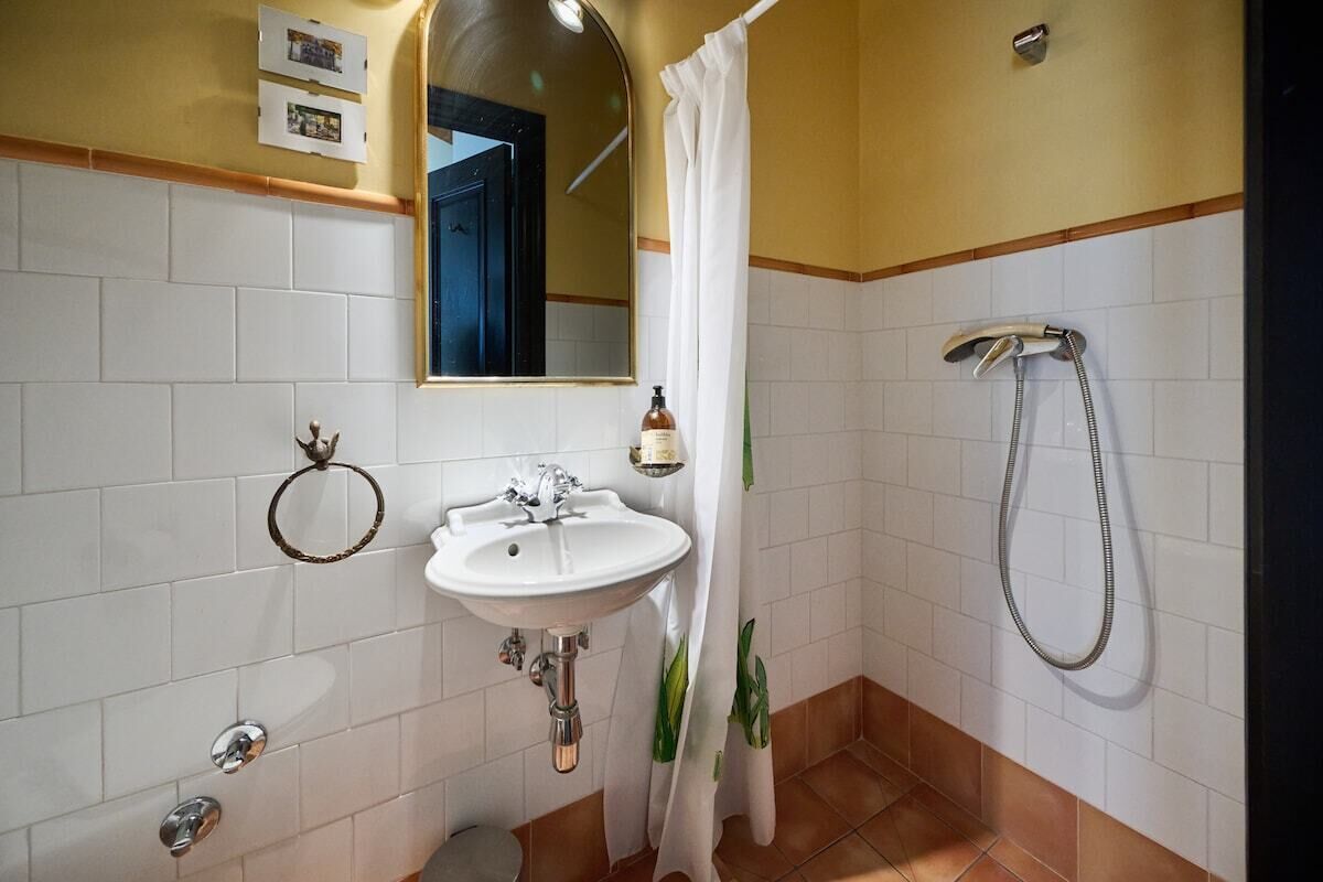 Baño con lavamanos, espejo, ducha y argolla para toallas.