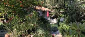 Oasi des Mirabelles – Provençal Holiday Home