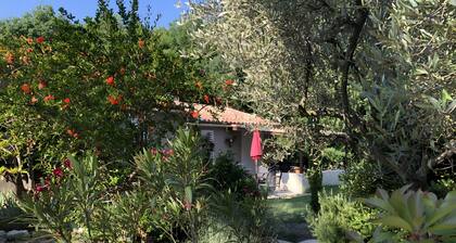 Oasi des Mirabelles – Provençal Holiday Home