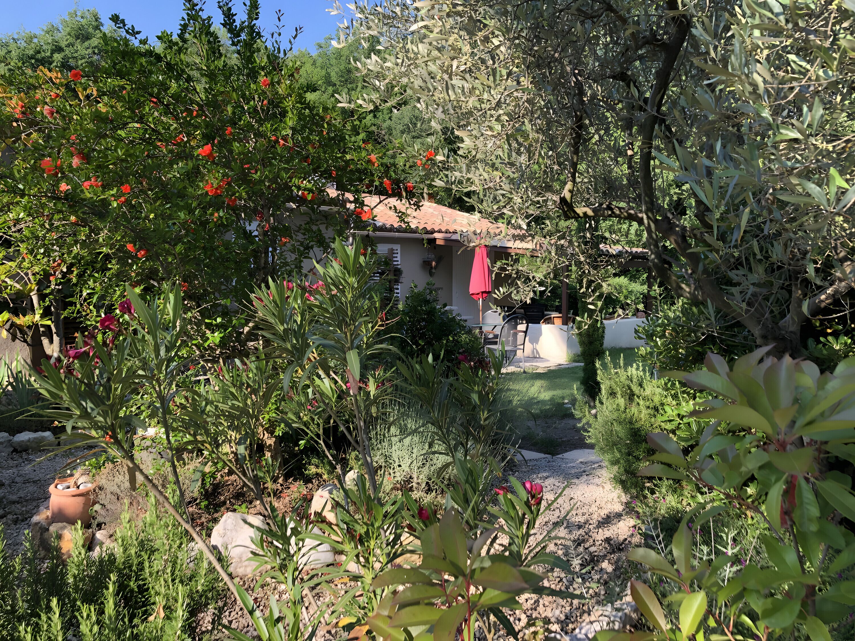 Parco della struttura