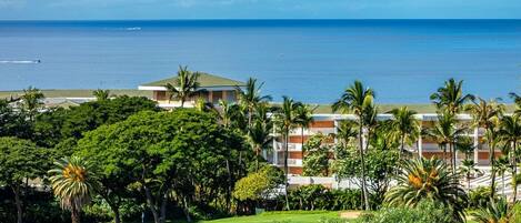 A golf course with a view of the ocean and a hotel with multiple floors and palm trees.