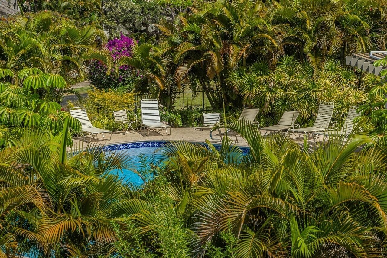 Condo, 1 Bedroom | Pool