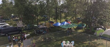 En campingplads med telte, en swimmingpool og liggestole.