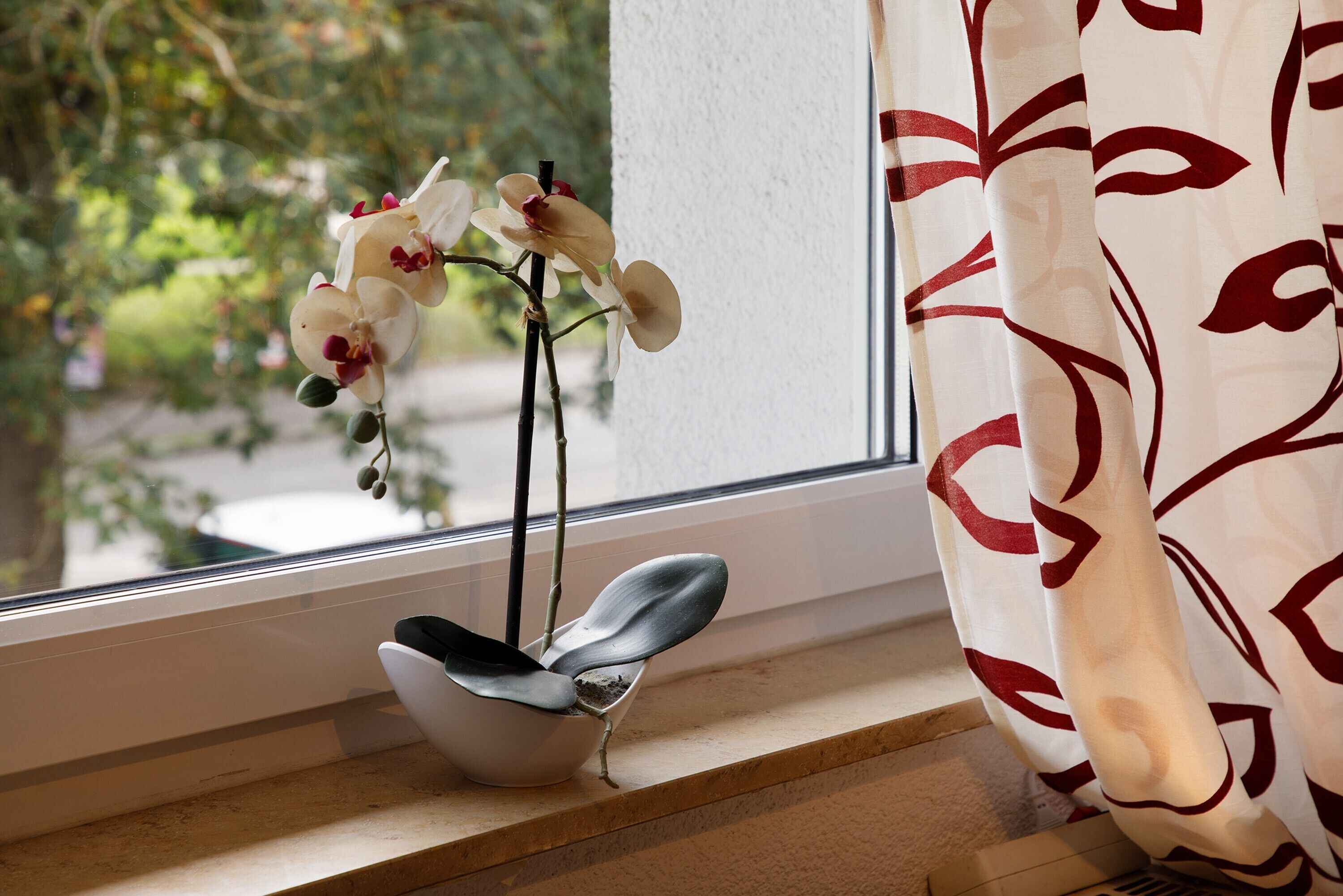 Una ventana con una planta en una maceta blanca y una cortina con diseño de hojas.