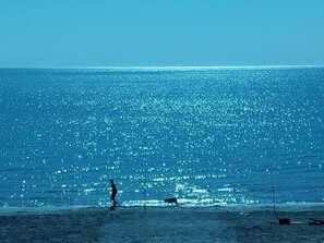 Ein Strand mit einer Person, einem Pferd und einem Boot.