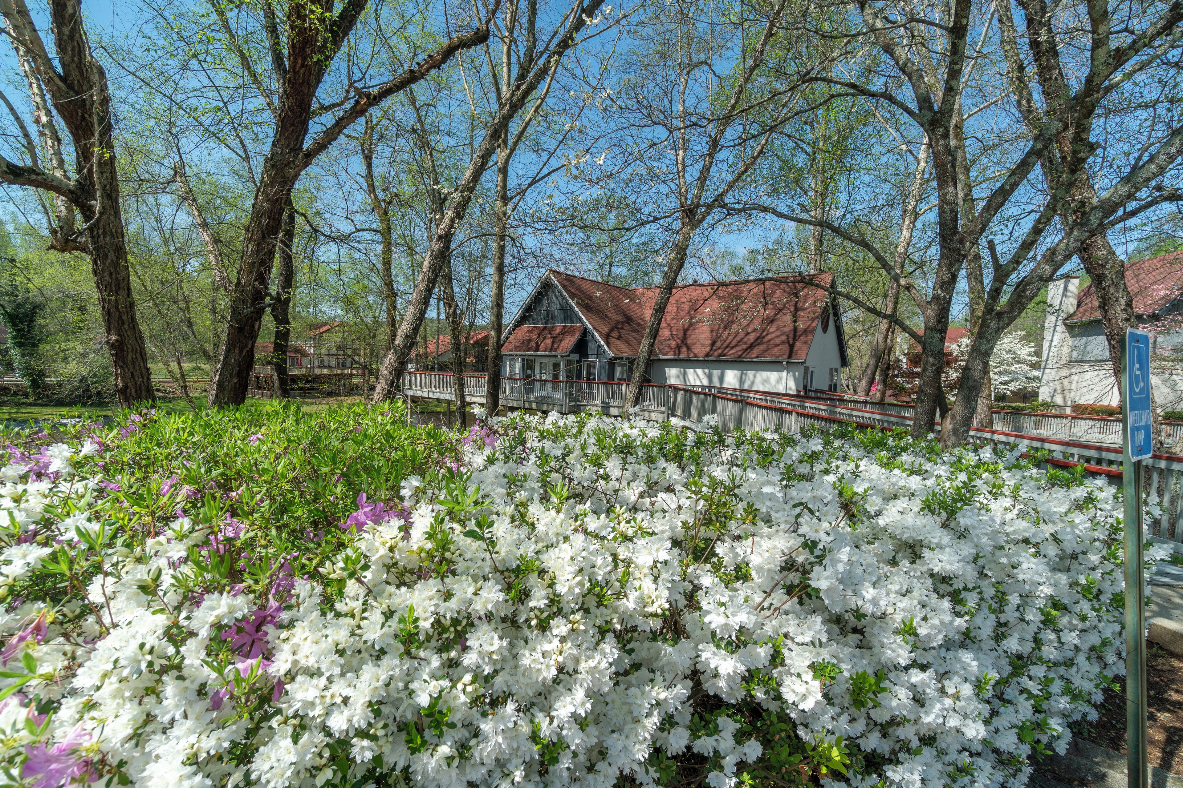 A traditional building with a red roof, surrounded by lush greenery and white flowering bushes.