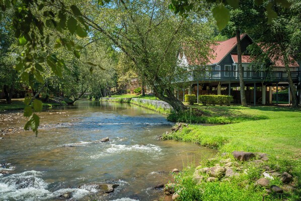 Vue depuis l’hébergement