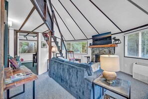 TV, fireplace, books