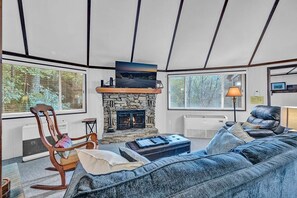 TV, fireplace, books
