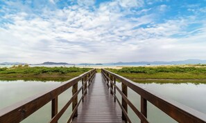 Basic Apartment | Miscellaneous