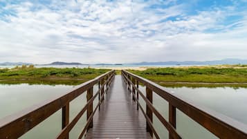 Basic Apartment | Miscellaneous