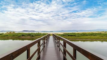 Basic-Apartment | Verschiedenes