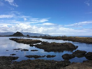 宿舍, 1 间卧室, 无障碍 | 外观