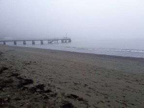 Shared Dormitory, 1 Bedroom, Accessible | Beach