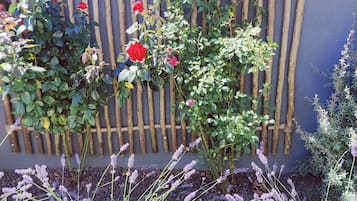 DĂ©tail de lâextĂ©rieur