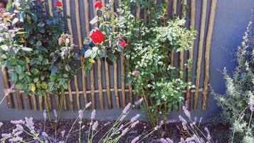 DĂ©tail de lâextĂ©rieur