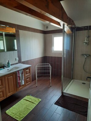 Shower, hair dryer, toilet paper