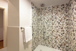 Ducha, secador de pelo, bidé y toallas