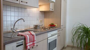 Fridge, oven, stovetop, dishwasher