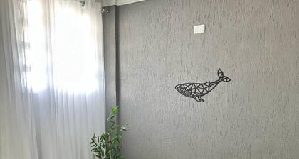 Beachfront Apartment – Stunning View with Wi-Fi (13) 99756 2285