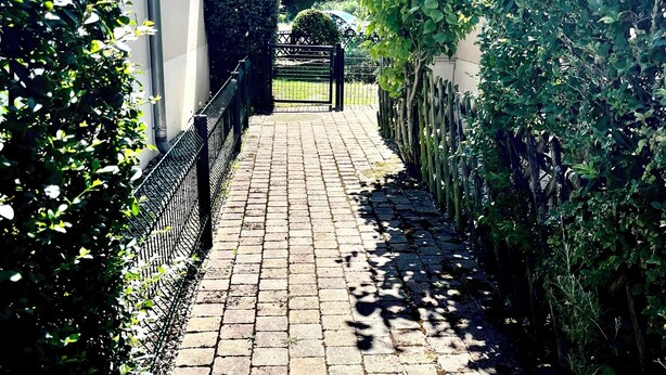 A paved pathway flanked by dense greenery and a metal fence, leading to a gated entrance.