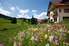 Áreas de la propiedad