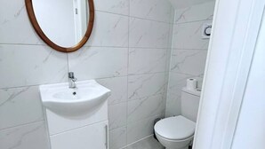 A bathroom with a white sink, a toilet, and a mirror.