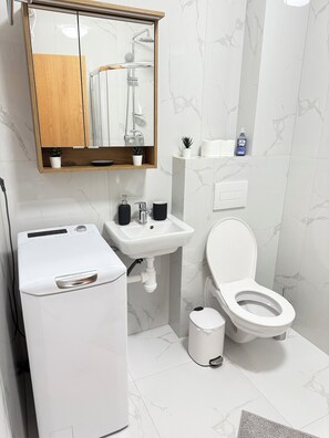 Shower, hair dryer, towels, soap