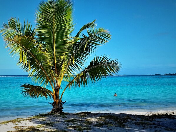 Plage