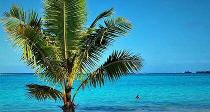 MOOREA - O Motu in Temae