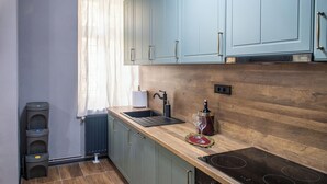Private kitchen - Grey Symphony - Charming vintage apartment with AC in downtown of Timisoara (Timisoara)