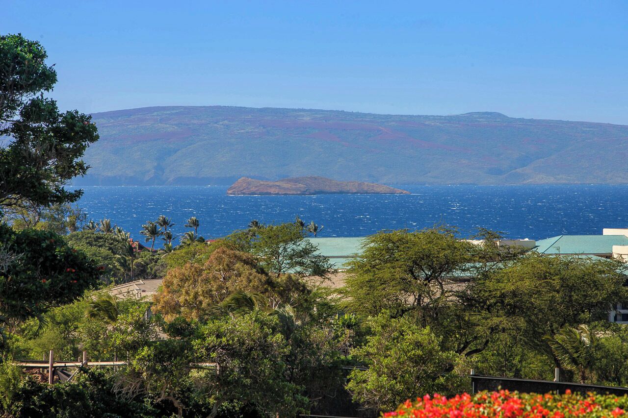 Vista costeira com uma pequena ilha ao longe, rodeada por vegetação exuberante e um céu azul límpido.