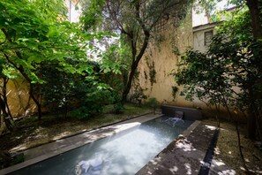 A small outdoor swimming pool surrounded by lush greenery and a building wall. - Duomo Luxury Apartment with plunge pool (Firenze)