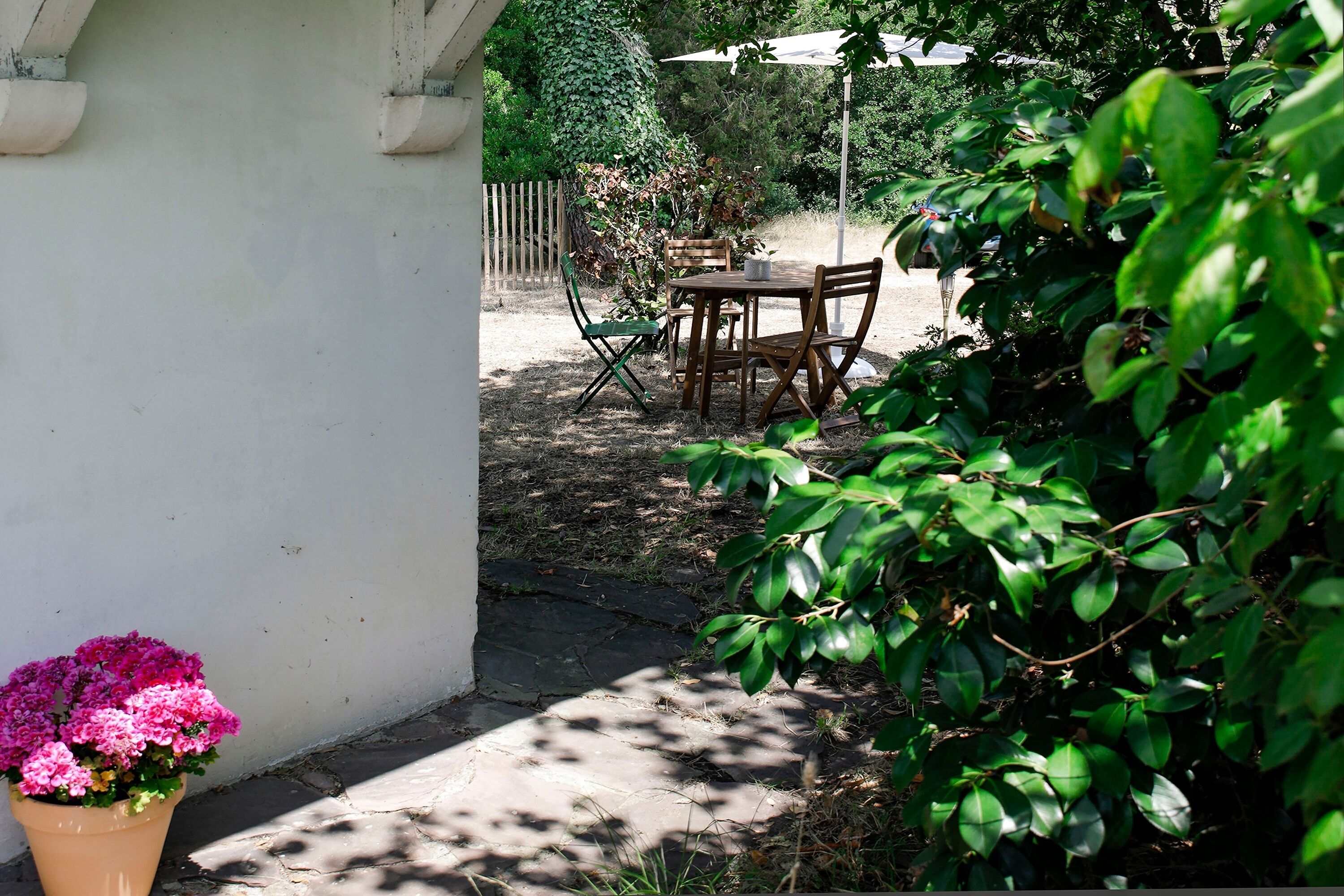 A patio area with a table and chairs, a potted plant, and a wooden fence in the background.