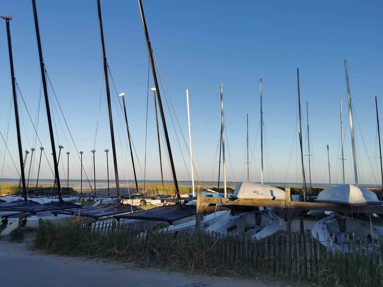 A row of boats docked at a marina with a clear sky in the background.