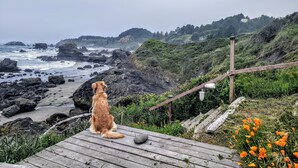 A dog sitting on a wooden deck overlooking a rocky beach with waves and greenery.
