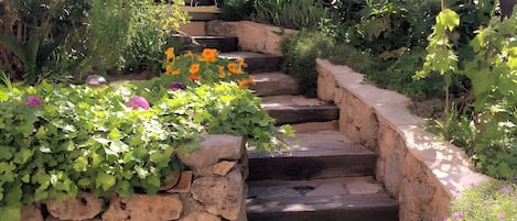 Áreas de la propiedad