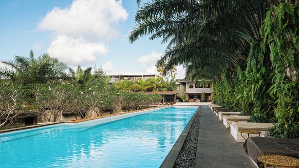 Una piscina con borde de piedra, rodeada de exuberante follaje y palmeras.