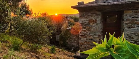 Detalle del exterior