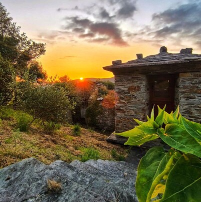 39A01 La Casita Olga House in the middle of nature