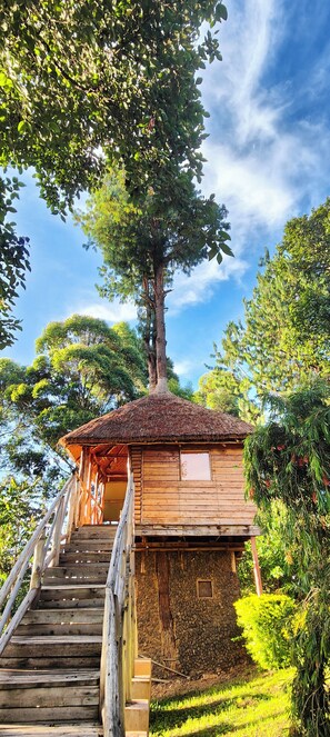 A wooden cabin with a thatched roof, surrounded by lush greenery and a clear blue sky. - Agandi Uganda Eco-lodge (Bwindi)