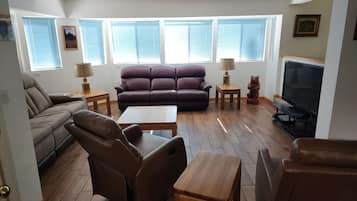 TV connectée, cheminée, lecteur de DVD