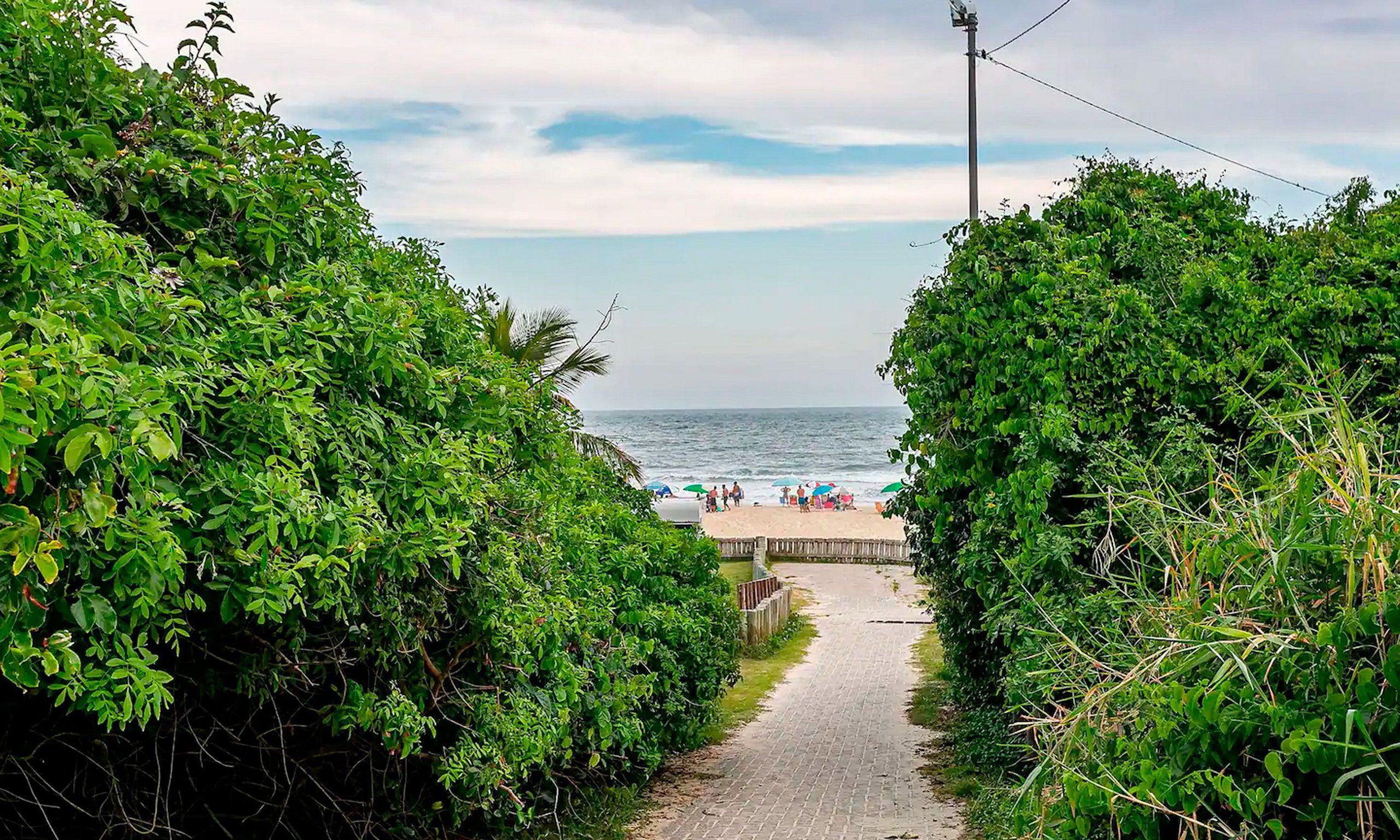 Un sendero que lleva a una playa, bordeado de abundante vegetación a ambos lados.