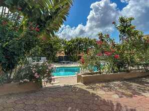 A pool area with a hexagonal tiled floor, surrounded by lush greenery and flowering plants. - 2 apartments at Casa Uva Verde 2AP/2BR/5PER (Willemstad)